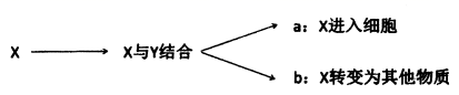 图片_x0020_405113460