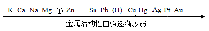 图片_x0020_100018
