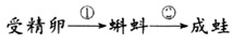 图片_x0020_100002