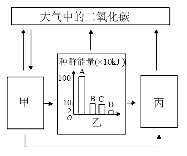 图片_x0020_914351726