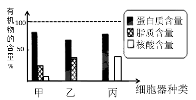 图片_x0020_83337489