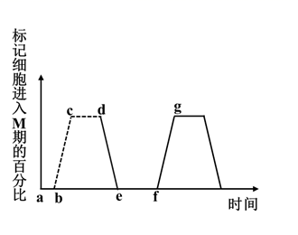 图片_x0020_918541982
