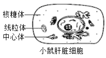 图片_x0020_100004