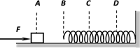 图片_x0020_1618244923