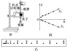 图片_x0020_100012