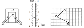 图片_x0020_1628172687