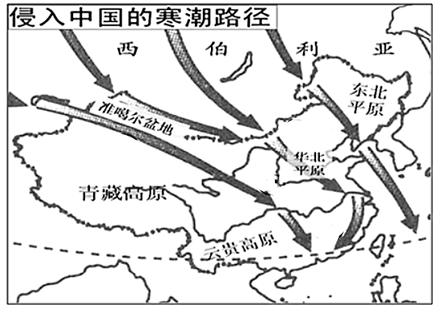 图片_x0020_751234111