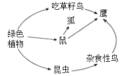 图片_x0020_100006
