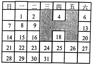 图片_x0020_100016