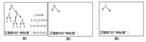 图片_x0020_100008