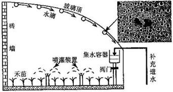 图片_x0020_1610859045