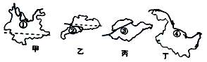 图片_x0020_100003