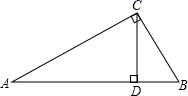 图片_x0020_100017