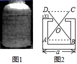 图片_x0020_100014