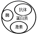 图片_x0020_100001
