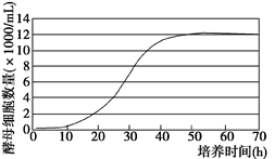 图片_x0020_100010