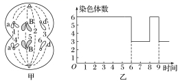 图片_x0020_100017