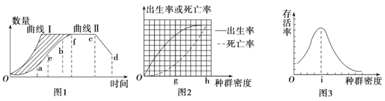 图片_x0020_100022