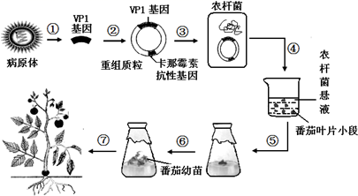 图片_x0020_100009