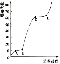 图片_x0020_100004