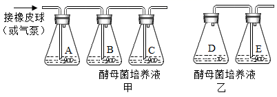 图片_x0020_100002