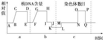 图片_x0020_100002