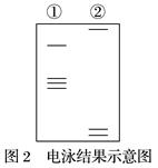 图片_x0020_100009