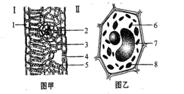 图片_x0020_100015