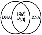 图片_x0020_100004