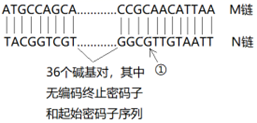 图片_x0020_100004