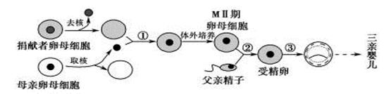 图片_x0020_1847226080