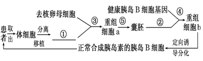 图片_x0020_100001