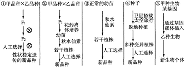 图片_x0020_100016