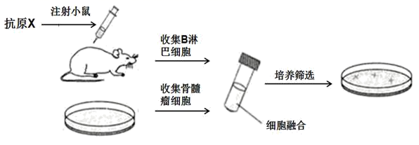 图片_x0020_100011