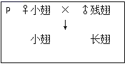 图片_x0020_100010