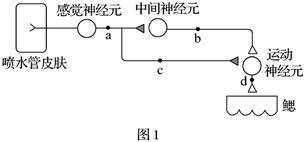 图片_x0020_100018