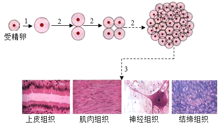 图片_x0020_2093539960