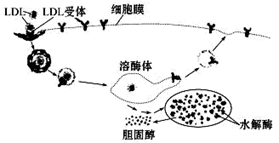 图片_x0020_100003