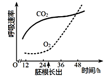 图片_x0020_100003