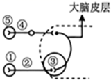 图片_x0020_100013