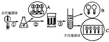 图片_x0020_100020