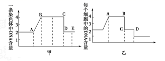 图片_x0020_100010