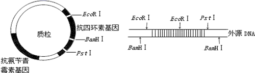 图片_x0020_100013