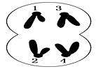 图片_x0020_100023