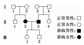 图片_x0020_100008