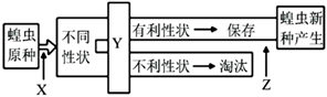 图片_x0020_100015