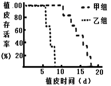 _x0000_i1038