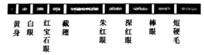 图片_x0020_100012