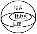 图片_x0020_100002