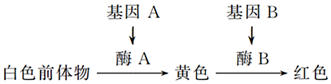 图片_x0020_100016